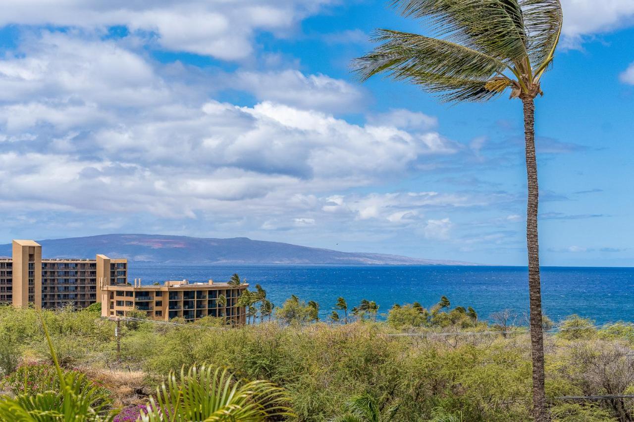 Maui Kamaole A204 - Romvari Realty Kihei Zewnętrze zdjęcie